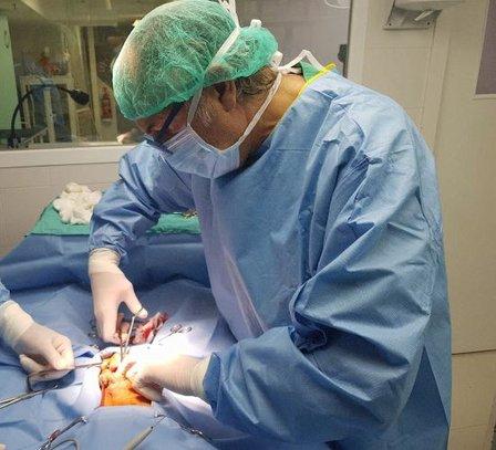 Clinica Veterinaria Orcasitas