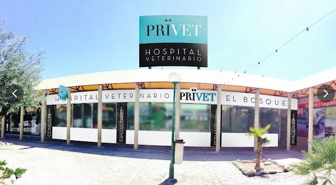 Privet Villaviciosa Veterinary Hospital