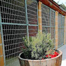 Conde Can Residencia Canina