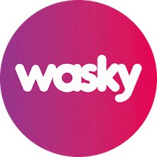 Wasky | Autolavado de mascotas Illescas