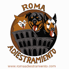 Roma adiestramiento