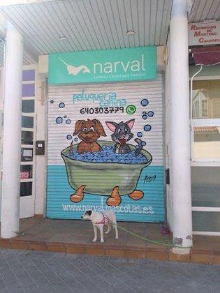 Peluquería canina y felina -Narval mascotas - Leganés