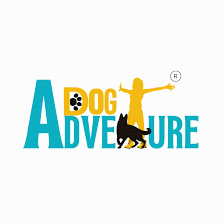 Dog Adventure - Ocio canino - Actividades con perro