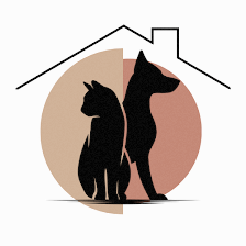 Cat Sitter Tus Mascotas