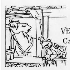 Clinica Veterinaria Campo Real