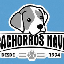Cachorros Nava