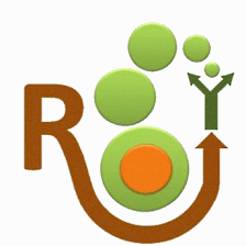 ROI Agile International