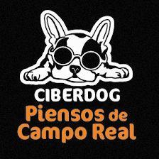 Feed Campo Real "Ciberdog"
