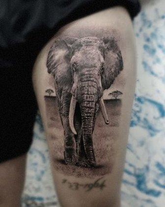 Kamikazetattoo