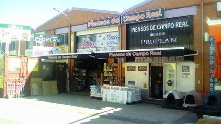 Feed Campo Real "Ciberdog"