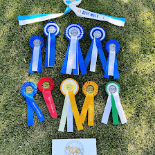 Criadero Lobo Azul Kennel