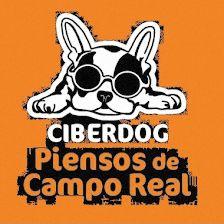 Ciberdog Campo Real