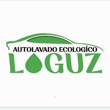 LAVADO A MANO ECOLOGUZ