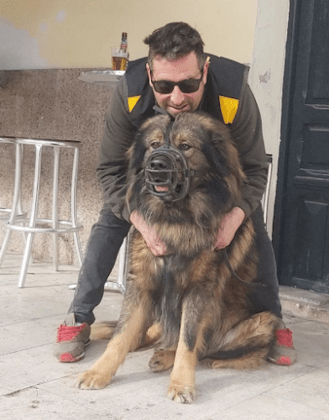 Club Canino Segurcandetector