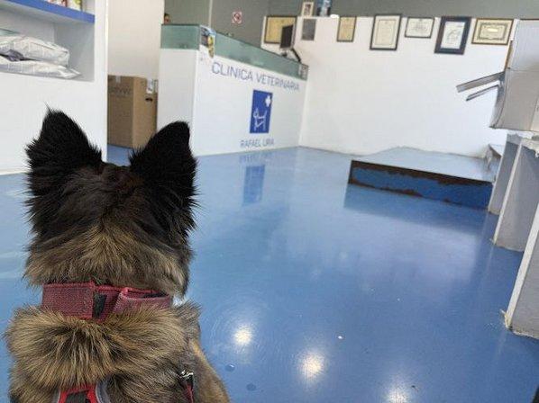 Clínica Veterinaria en Daganzo - Rafael Uría