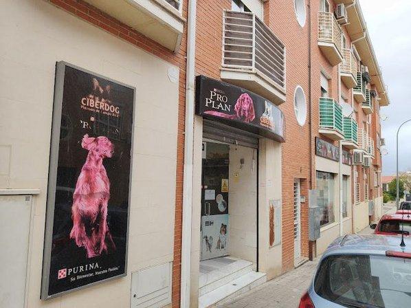 Ciberdog Campo Real
