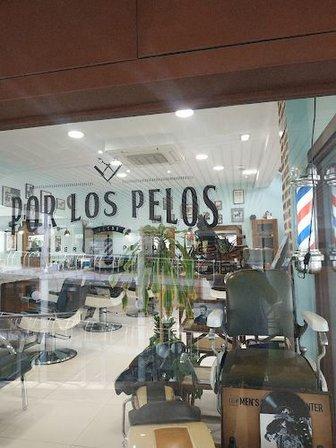 Por Los Pelos