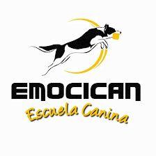 EMOCICAN Escuela Canina