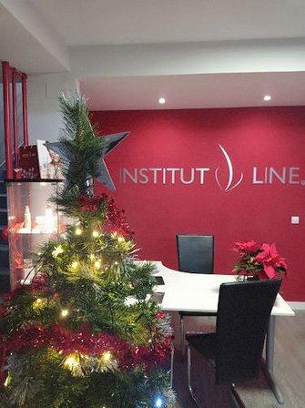 Institut Line El Escorial