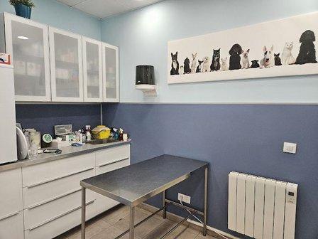 CLÍNICA VETERINARIA LAS ROZAS ZARCOVET