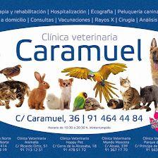 Veterinary Clinic Caramuel