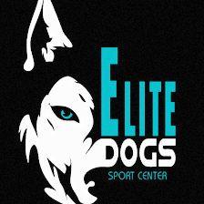Agility EliteDogs