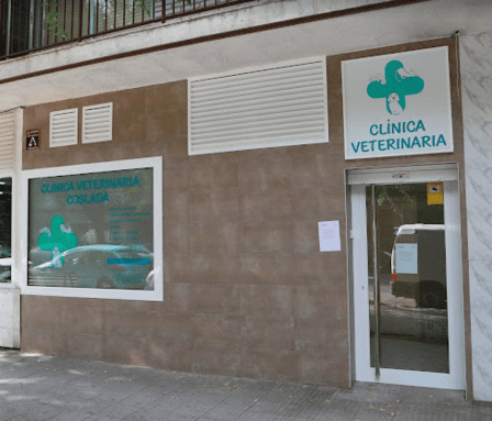 Veterinary Clinic Coslada