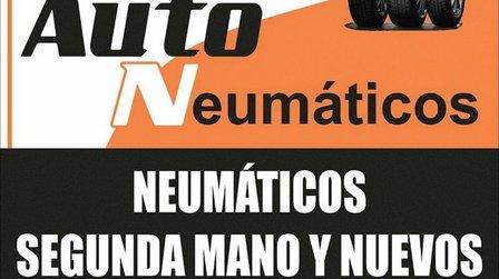 AUTONEUMATICOS