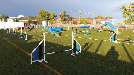 Agility EliteDogs