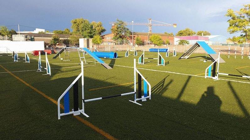Agility EliteDogs
