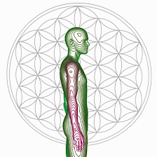 CENTRO DE OSTEOPATÍA, NUTRICIÓN, COACHING, YOGA, ESTÉTICA ONCOLÓGICA Y TERAPIAS NATURALES