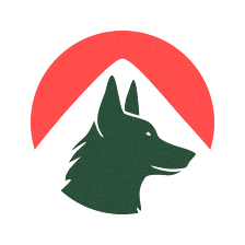7 FLECHAS CENTRO CANINO