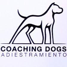Educadores caninos Coaching Dogs