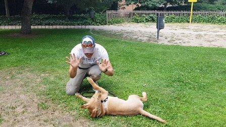 Educadores caninos Coaching Dogs