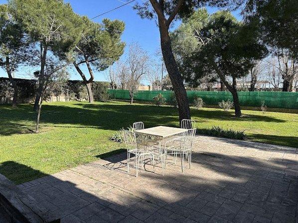 7 FLECHAS CENTRO CANINO