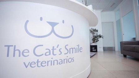 The Cat's Smile veterinary