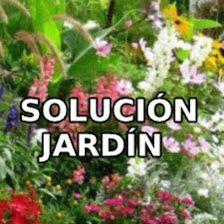 Solución Jardín