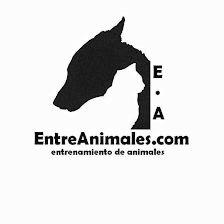 EntreAnimales