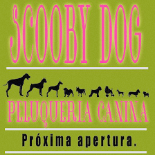 Peluquería Canina Scooby Dog Villanueva Del Pardillo