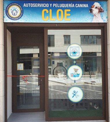 Autoservicio Y Peluquería Canina Cloe