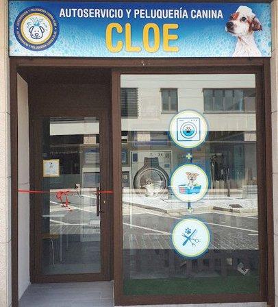 Autoservicio Y Peluquería Canina Cloe