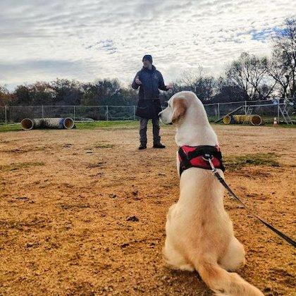 Julio Cano - Coach Canino