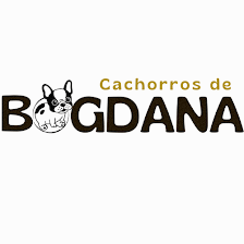 Cachorros de Bogdana