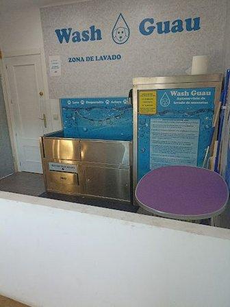 Wash Guau