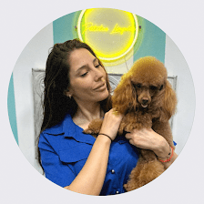 Patitas Limpias Peluquería Canina