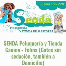 SENDA Peluquería y Tienda Canina - Felina (Gatos sin sedación)