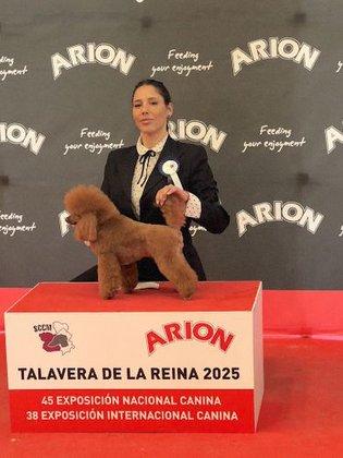 Patitas Limpias Peluquería Canina