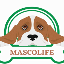 Mascolife Mascotas