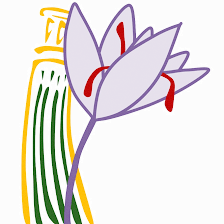 Saffron and Ethnographic Museum
