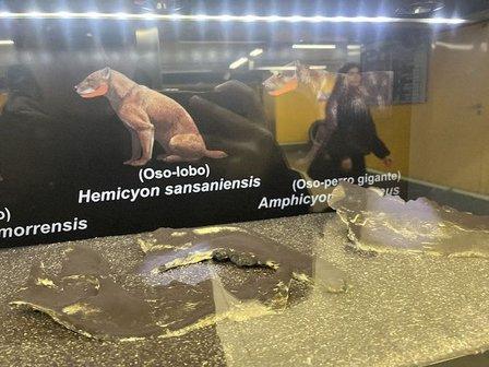 Yacimiento Paleontológico Metro Carpetana